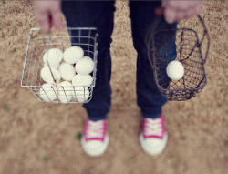   Don't put all your eggs in one basket แปลว่า ภาษาอังกฤษ  