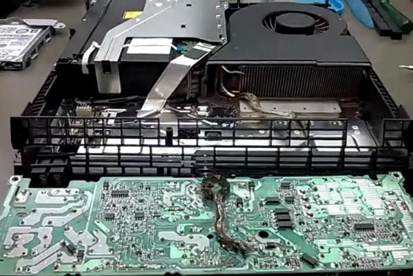 Electrician in Brazil finds dead snake in PlayStation 4 Langhub.com เรียนภาษาอังกฤษจากข่าว