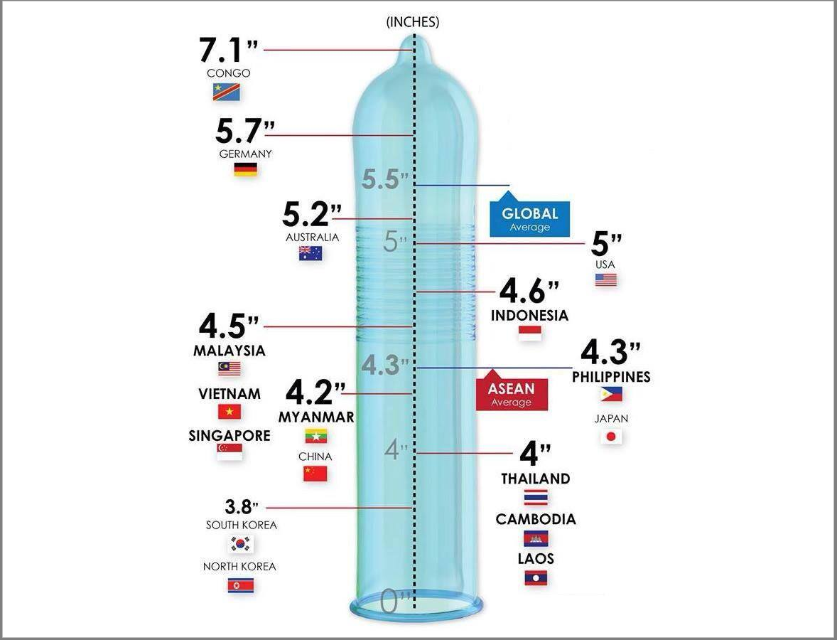 Average dick length in inches