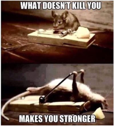  What Doesn't Kill You Makes You Stronger สำนวนภาษาอังกฤษ  