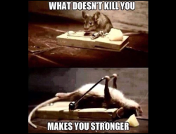  What Doesn't Kill You Makes You Stronger สำนวนภาษาอังกฤษ  